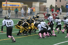 Enlarge photo 280
