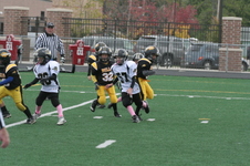 Enlarge photo 281