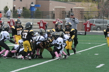 Enlarge photo 282