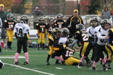 Enlarge photo 287