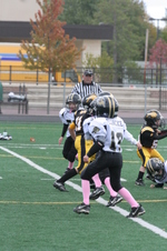 Enlarge photo 297