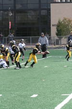 Enlarge photo 79