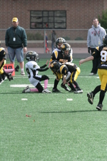 Enlarge photo 310