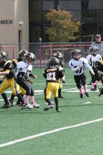 Enlarge photo 81