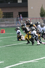 Enlarge photo 313