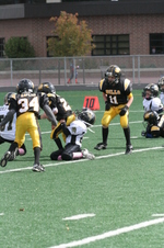 Enlarge photo 82