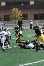 Enlarge photo 315