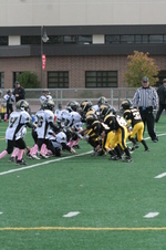 Enlarge photo 319