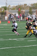 Enlarge photo 115