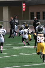 Enlarge photo 120