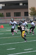 Enlarge photo 149