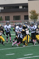 Enlarge photo 152