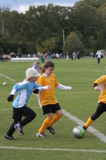 Enlarge photo 339