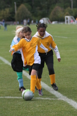 Enlarge photo 188