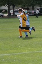 Enlarge photo 341