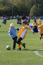 Enlarge photo 223
