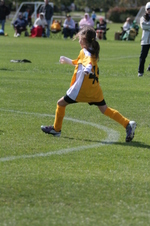 Enlarge photo 233