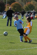 Enlarge photo 234