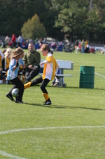 Enlarge photo 235