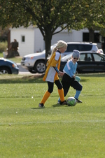 Enlarge photo 236