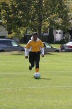 Enlarge photo 239