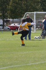 Enlarge photo 240