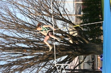 Enlarge photo 135