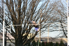 Enlarge photo 137
