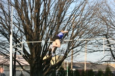 Enlarge photo 138