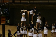Enlarge photo 42