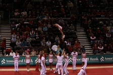 Enlarge photo 137