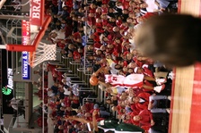 Enlarge photo 192