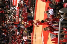 Enlarge photo 201