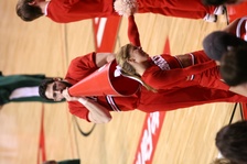 Enlarge photo 203