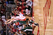 Enlarge photo 235