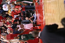 Enlarge photo 329