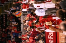 Enlarge photo 358