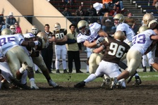Enlarge photo 103