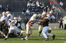 Enlarge photo 118
