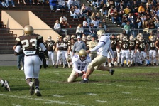 Enlarge photo 124