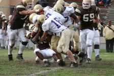 Enlarge photo 137
