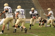 Enlarge photo 151