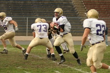 Enlarge photo 153