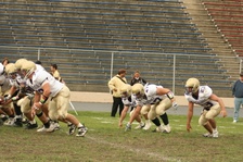 Enlarge photo 176