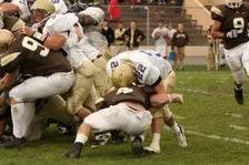 Enlarge photo 203