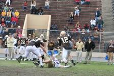 Enlarge photo 219