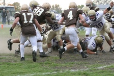 Enlarge photo 254