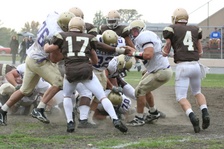 Enlarge photo 255