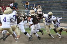 Enlarge photo 260