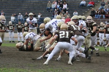 Enlarge photo 269